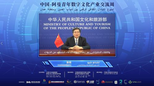 數(shù)字絲路，青春共創(chuàng) 中阿青年數(shù)字文化產(chǎn)業(yè)交流周盛大啟幕